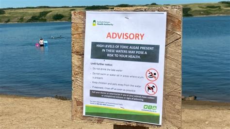 Sask. Health Authority issues blue-green algae warning for Little ...