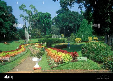 Royal Botanical Gardens, Peradeniya Timings, Entrance Fee, History Holidify