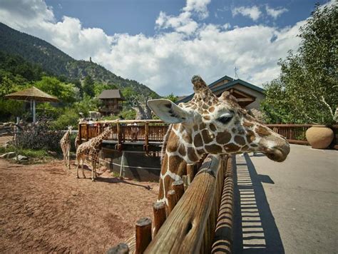 Cheyenne Mountain Zoo - Visit Colorado Springs