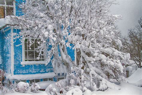 Winter in Akureyri | Akureyri, Iceland, Winter