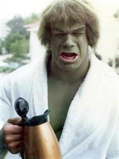 Lou Ferrigno AKA The Incredible Hulk in the 70s. : r/OldSchoolCool