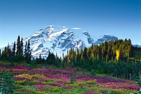 Mount Rainier 4K Wallpapers - Top Free Mount Rainier 4K Backgrounds - WallpaperAccess