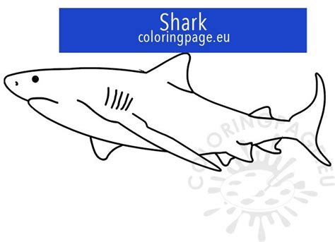 Free printable shark outline – Coloring Page