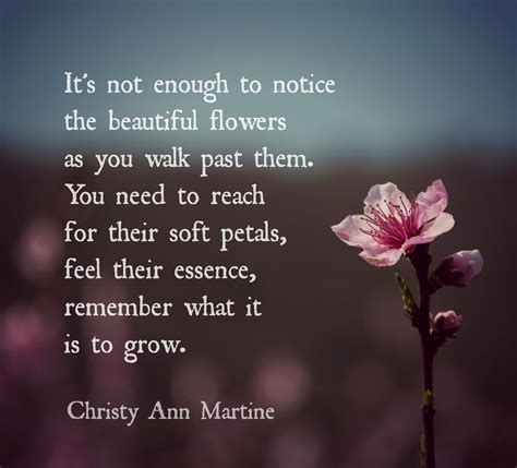 Nature quotes - Appreciation poems - quote - flowers - gratitude - life - Christy Ann Martine ...