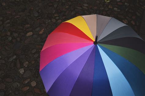 Download Umbrella on Rainy Day Royalty Free Stock Photo and Image