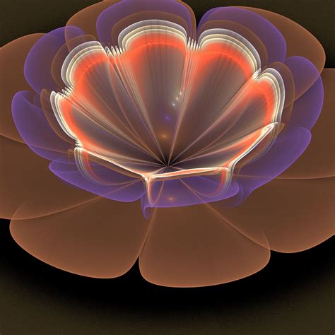 Fractal Flower 6 Free Stock Photo - Public Domain Pictures