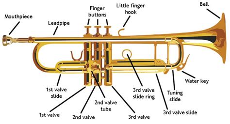 Trumpet parts and maintenance - Trumpet exercise database | Trumpet ...