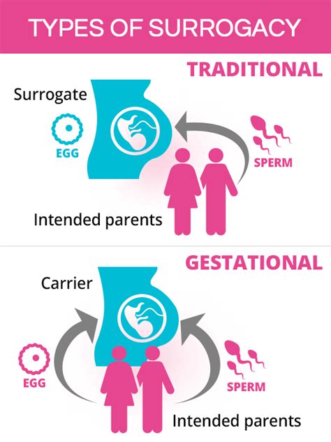 Surrogacy: Traditional and Gestational | SheCares