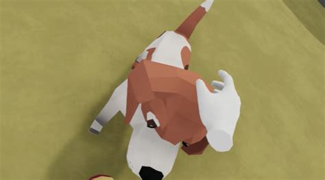 You Can Pet The Dog VR Is Out Now on Steam - Twinfinite