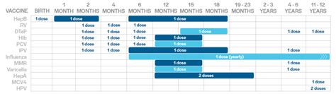 Well-Child Checkups: Health Milestones for Your Child