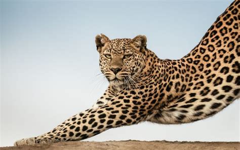 Kenya’s Maasai Mara Wildlife Reserve Is a Photographer’s Playground ...