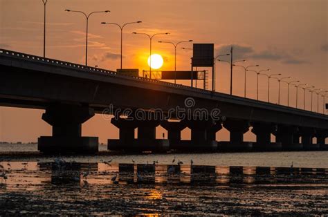 Penang Second Bridge Night View Stock Photo - Image of penang, lighting ...