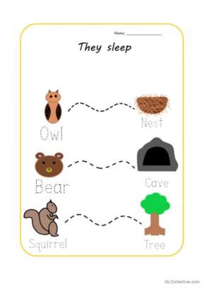 2 Hibernation English ESL worksheets pdf & doc