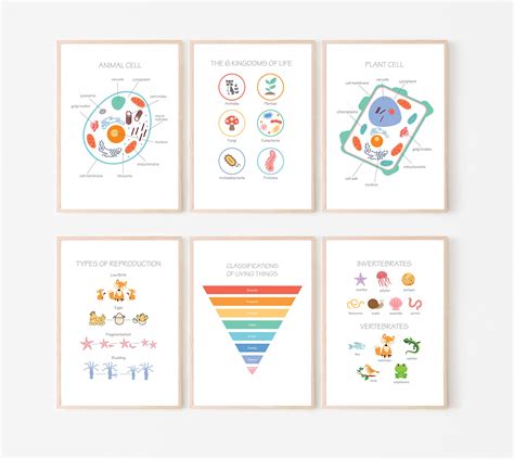 Science Posters For Kids