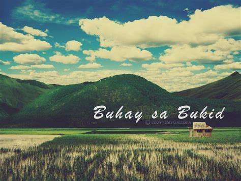 Buhay sa Bukid by smv84 on DeviantArt