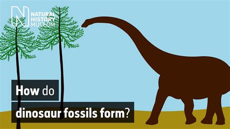 How To Draw Easy Dinosaur Fossils | Fasci Garden