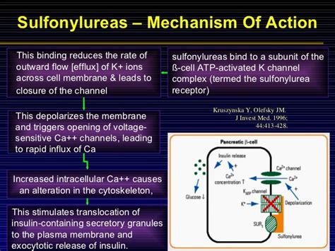 Sulfonylureas Mechanism Of Action - cloudshareinfo