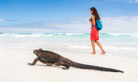 Best Time To Visit The Galapagos Islands: Full Guide | Marchay