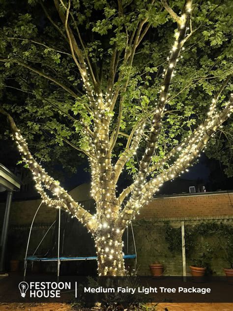 Outdoor Fairy Light Tree Kit - Medium | Festoon House