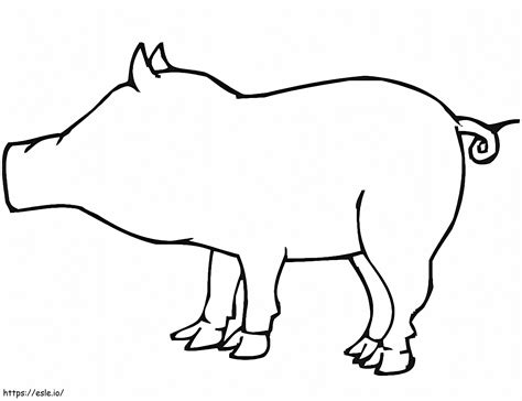 Pig Outline coloring page