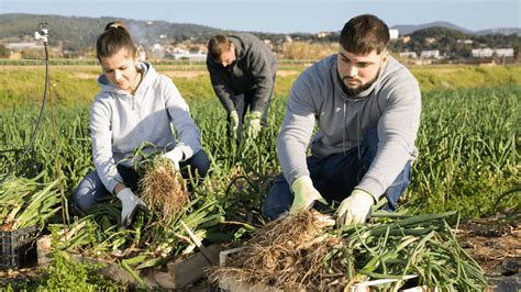 AgriSafe Learning: Protecting and Promoting the Health of Young Agricultural Workers: The Role ...