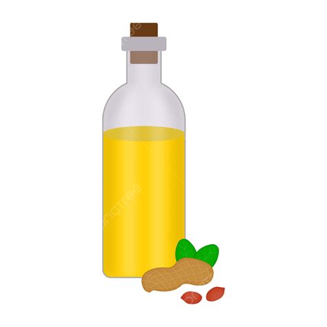 Peanut Oil With Vector Illustration, Peanut, Dried Fruit, Peanut Oil PNG and Vector with ...