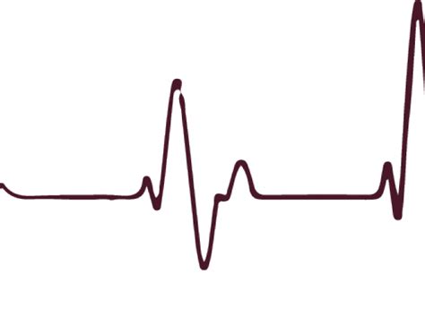 Ekg Vector at Vectorified.com | Collection of Ekg Vector free for personal use