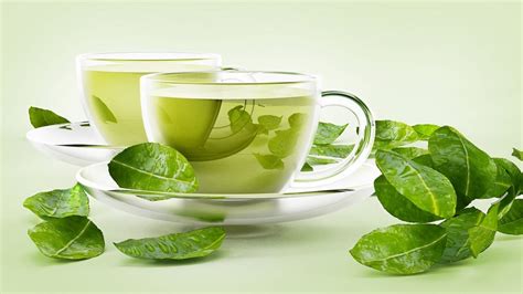 Top 9 Brands of Green Tea in India - Indian Green Tea Brands