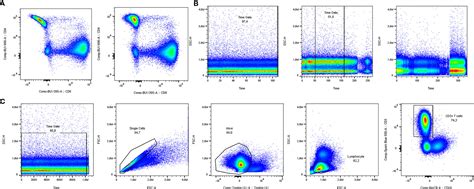 Frontiers | How to Prepare Spectral Flow Cytometry Datasets for High ...