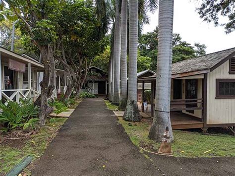 Best 4 Things to Do in Hawaiis Plantation Village Museum Honolulu