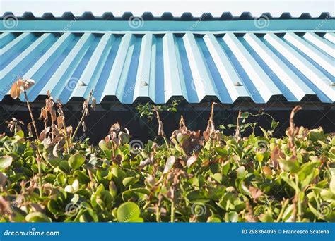 New Roof with Colored Corrugated Metal Sheet Stock Image - Image of iron, roofing: 298364095