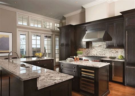 Kitchen Interior Dark Cabinets Traditional - LucasJoubert