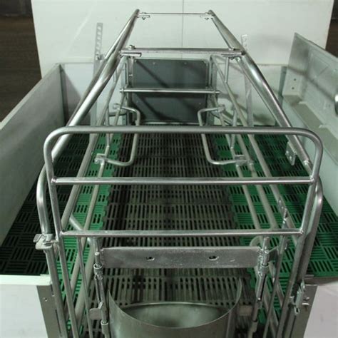 China Piggery Farm Equipment Galvanized Pig Farrowing Crates/Pig Farrowing Pens - China ...