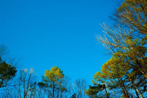 Beautiful Carolina Blue Sky | Beautiful, Sky, Blue sky