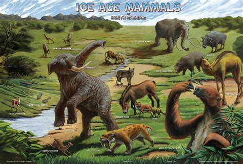 Ice Age Mammals