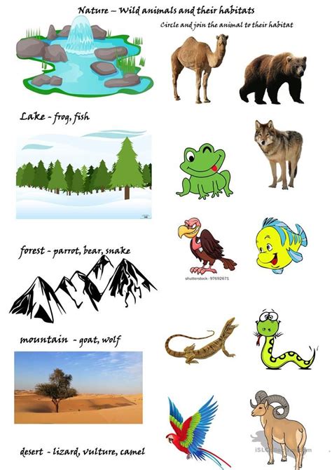 Formidable Free Animal Habitat Printables Preschool Valentines Day Poem