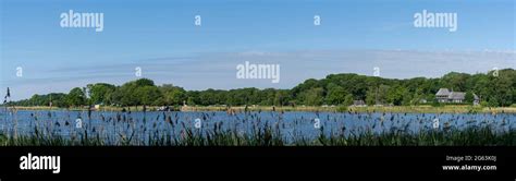 A panorama view of the Maribo Lake in Denmark with reeds and grasses in the foreground Stock ...