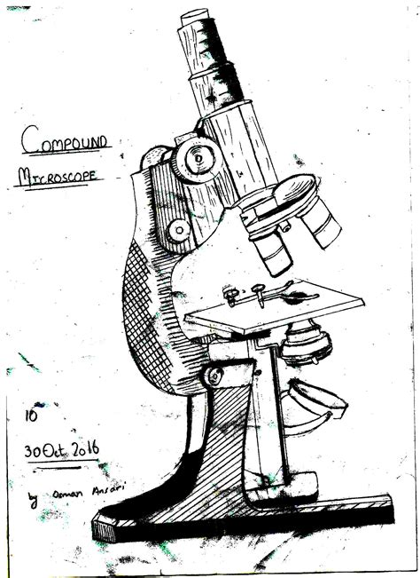 Microscope Line Drawing at PaintingValley.com | Explore collection of Microscope Line Drawing