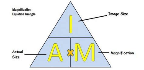 How Is the Magnification of a Microscope Calculated - Alaina-has-Shaffer