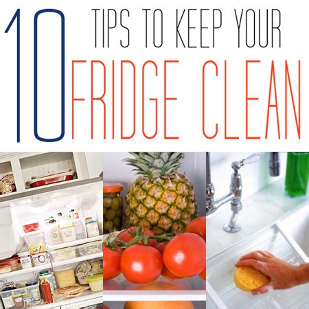 10 Tips to Keep Your Fridge Clean - The Cottage Market