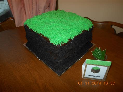 Minecraft Dirt Block Cake! | Cake, Yummy cakes, Party entertainment