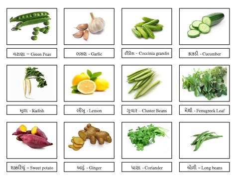 Indian Vegetable Names Chart Vegetables Chart Preschool And