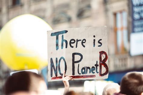 What You Need to Know About Environmental Activism | Ourgoodbrands