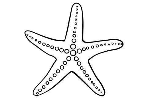 How to Draw a Starfish | Design School