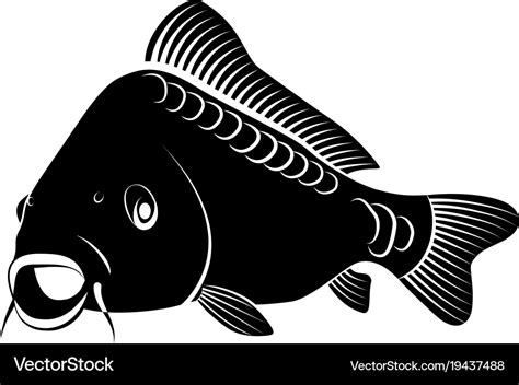 Isolated carp fish - clip art Royalty Free Vector Image