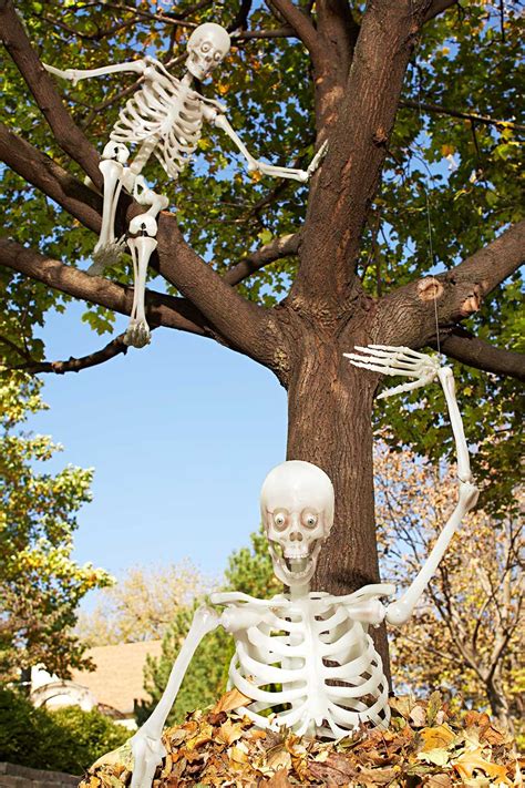 How to pose a skeleton for halloween | gail's blog