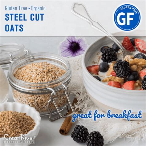 Organic Steel Cut Oats