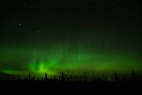 Can You See The Northern Lights In Anchorage In August at Anne Berry blog