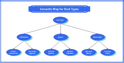 Free Editable Semantic Map Graphic Organizer Examples | EdrawMax Online