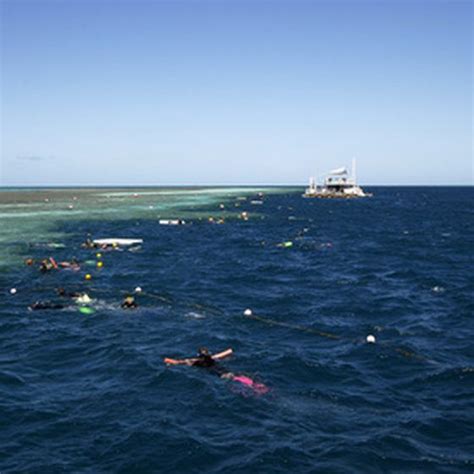 How to Snorkel in Clearwater, Florida | Snorkeling, Clear water ...